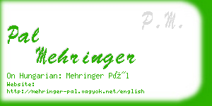 pal mehringer business card